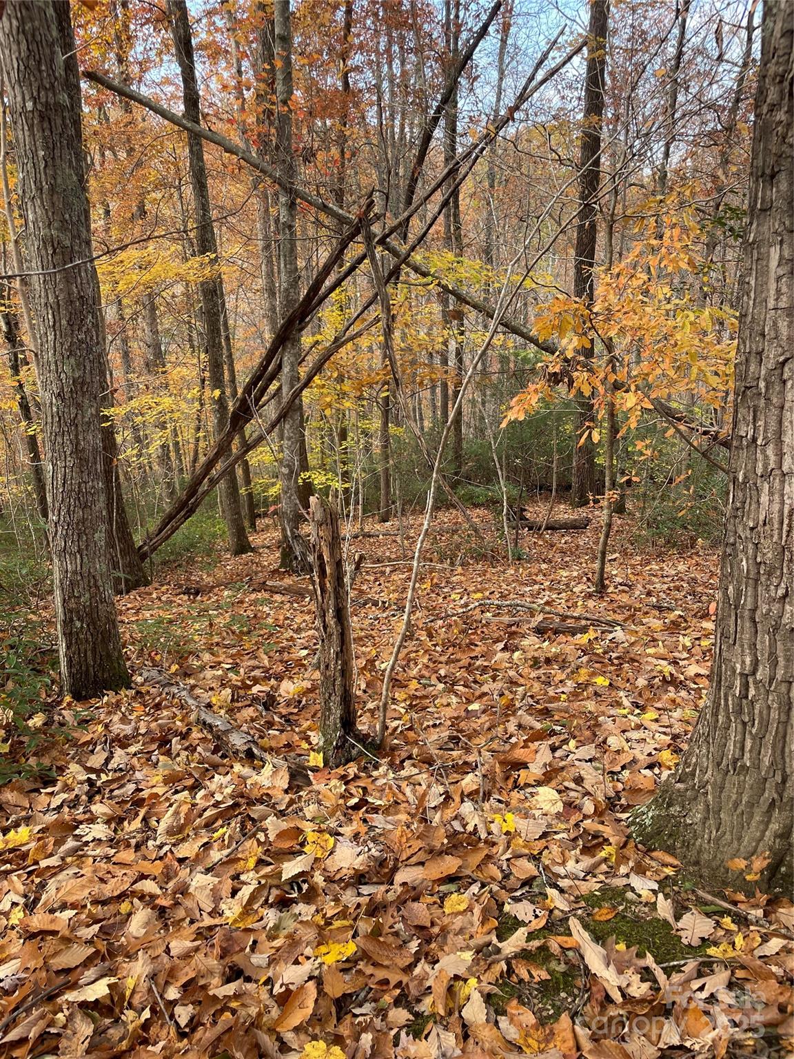 #31 - V/L Lot 72 & 170 Black Lark Drive, Marion