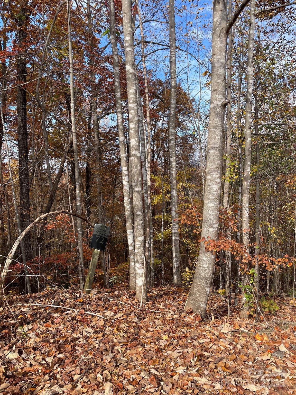 #37 - V/L Lot 72 & 170 Black Lark Drive, Marion