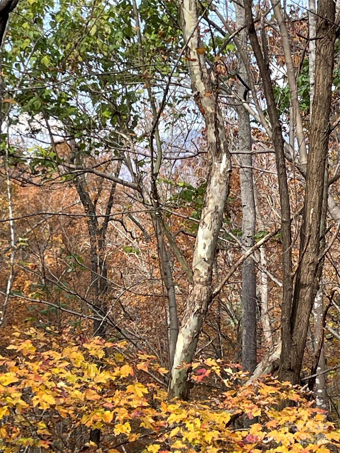 #39 - ridgeline in the background - V/L Lot 72 & 170 Black Lark Drive, Marion