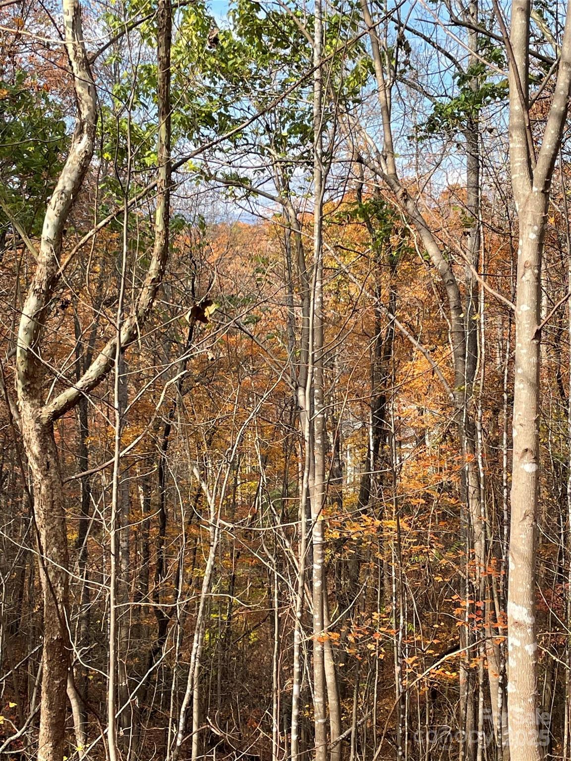 #40 - Neighboring house on Big Branch Dr (white area deep into trees) - V/L Lot 72 & 170 Black Lark Drive, Marion