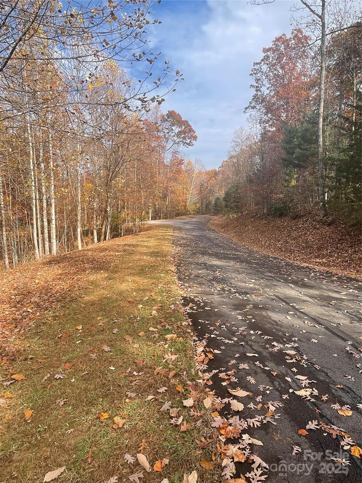 #41 - Downhill from eastern side of property - V/L Lot 72 & 170 Black Lark Drive, Marion