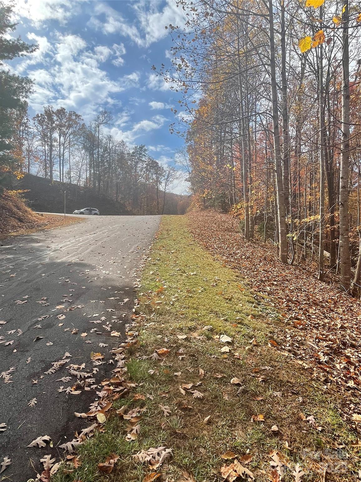 #42 - Uphill from area near eastern side of property - V/L Lot 72 & 170 Black Lark Drive, Marion