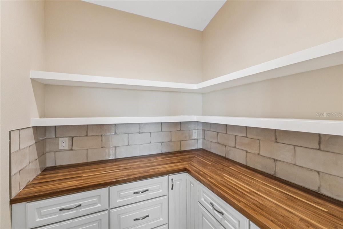 Walk in Pantry - 6191 TURTLEMOUND RD, NEW SMYRNA BEACH