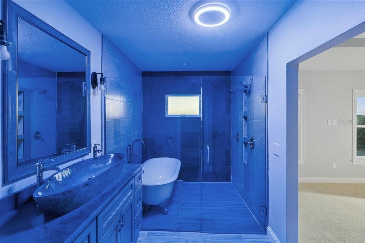 Bathroom with mood lighting - 6191 TURTLEMOUND RD, NEW SMYRNA BEACH