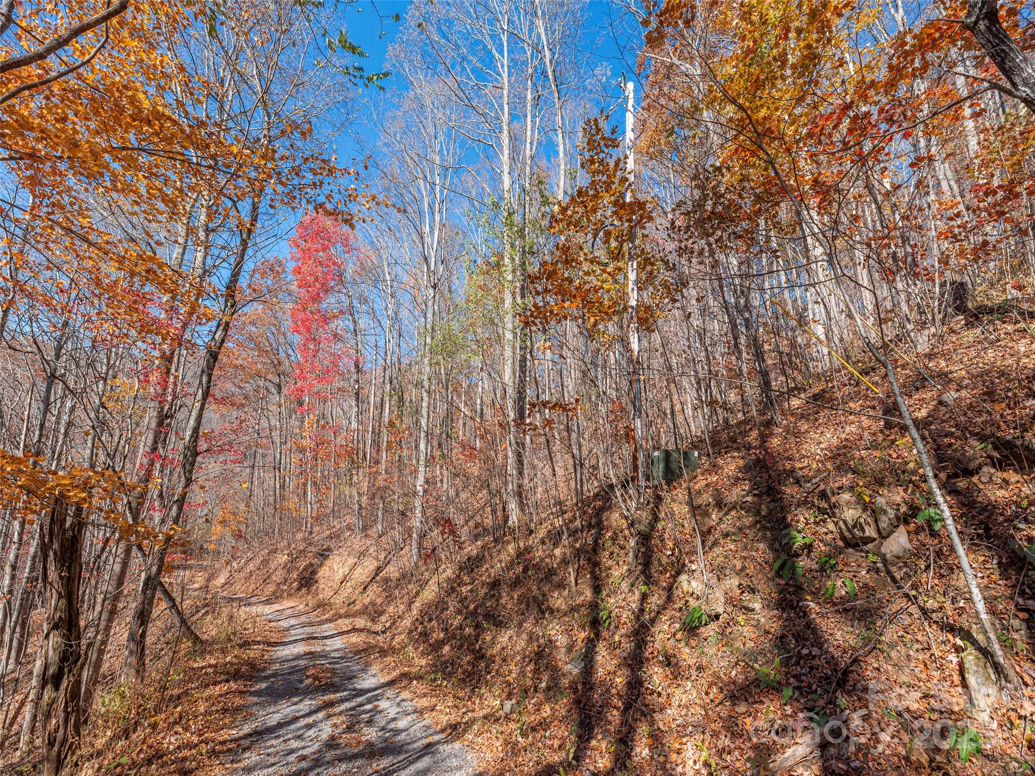 Lot at 112 & 113 Grouse Road, Clyde, photo 2 of 29