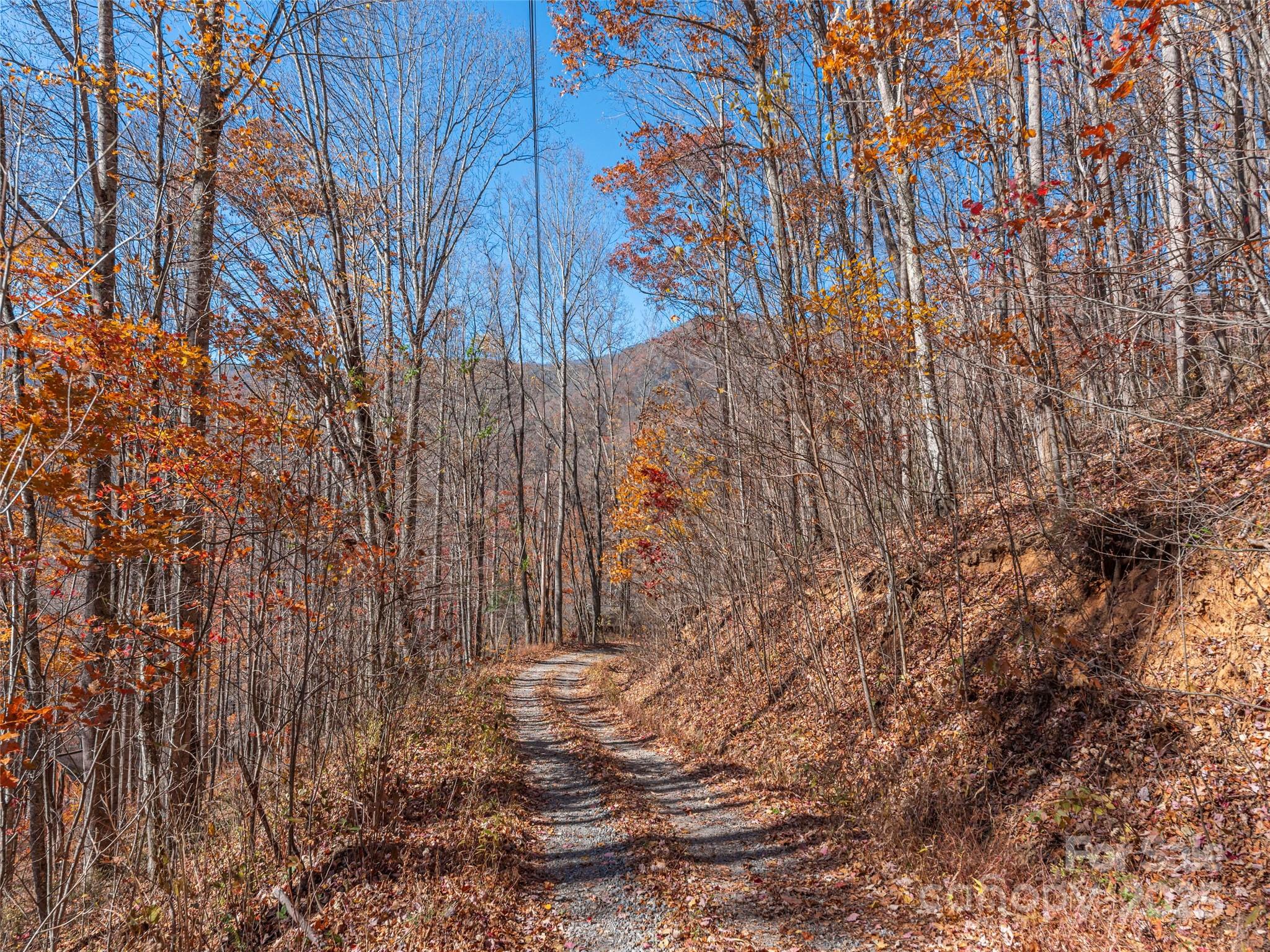 Lot at 112 & 113 Grouse Road, Clyde, photo 3 of 29