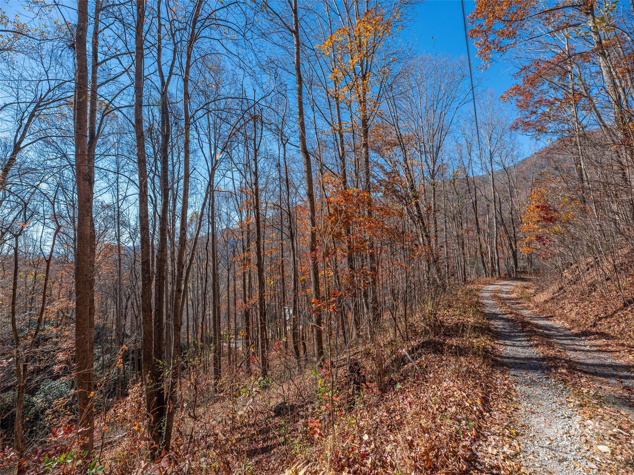 Lot at 112 & 113 Grouse Road, Clyde, photo 4 of 29
