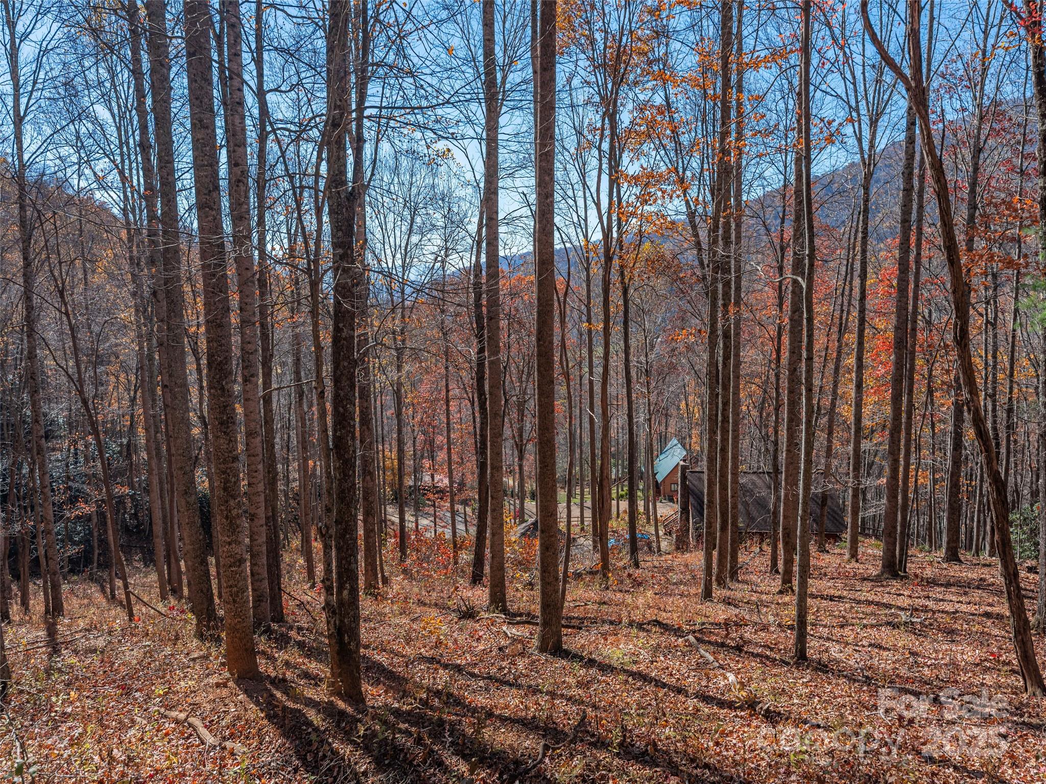 Lot at 112 & 113 Grouse Road, Clyde, photo 6 of 29