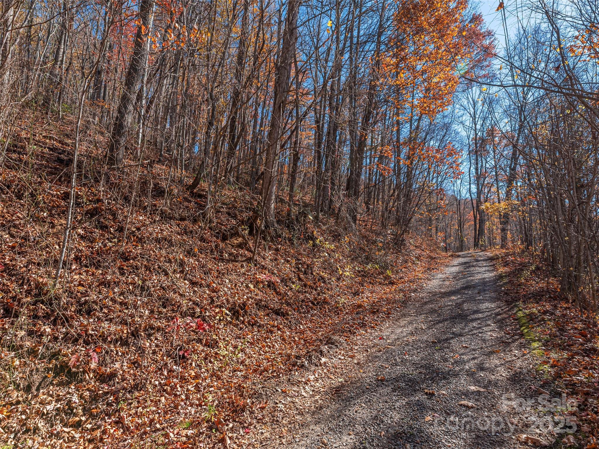 Lot at 112 & 113 Grouse Road, Clyde, photo 7 of 29