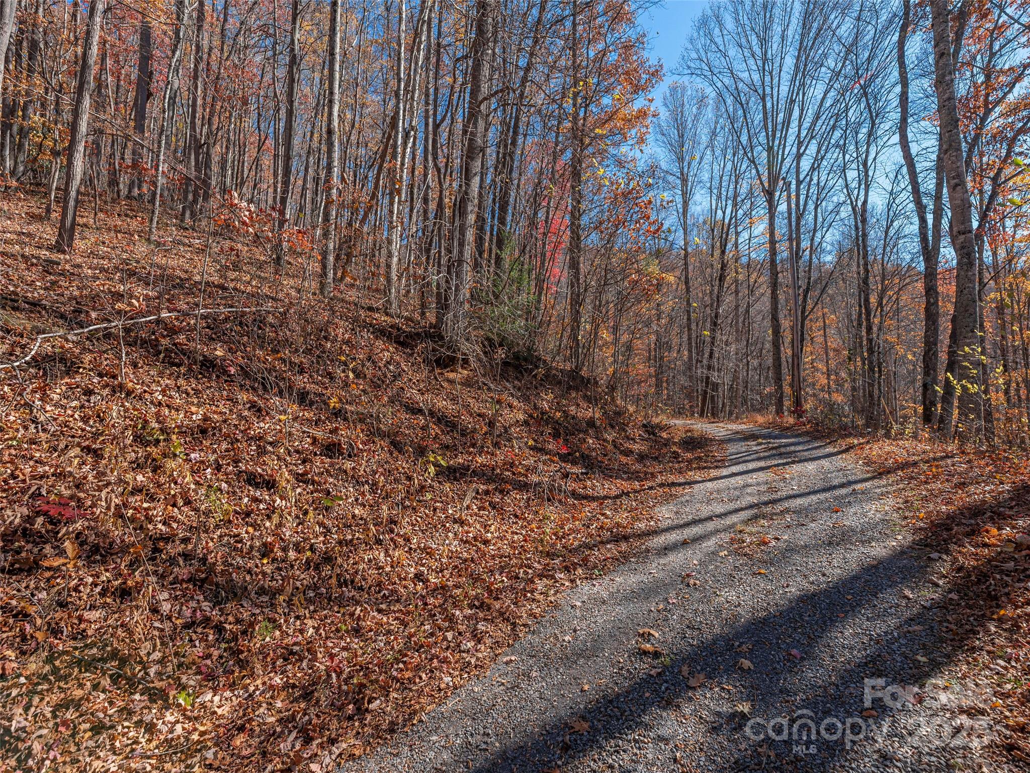 Lot at 112 & 113 Grouse Road, Clyde, photo 8 of 29