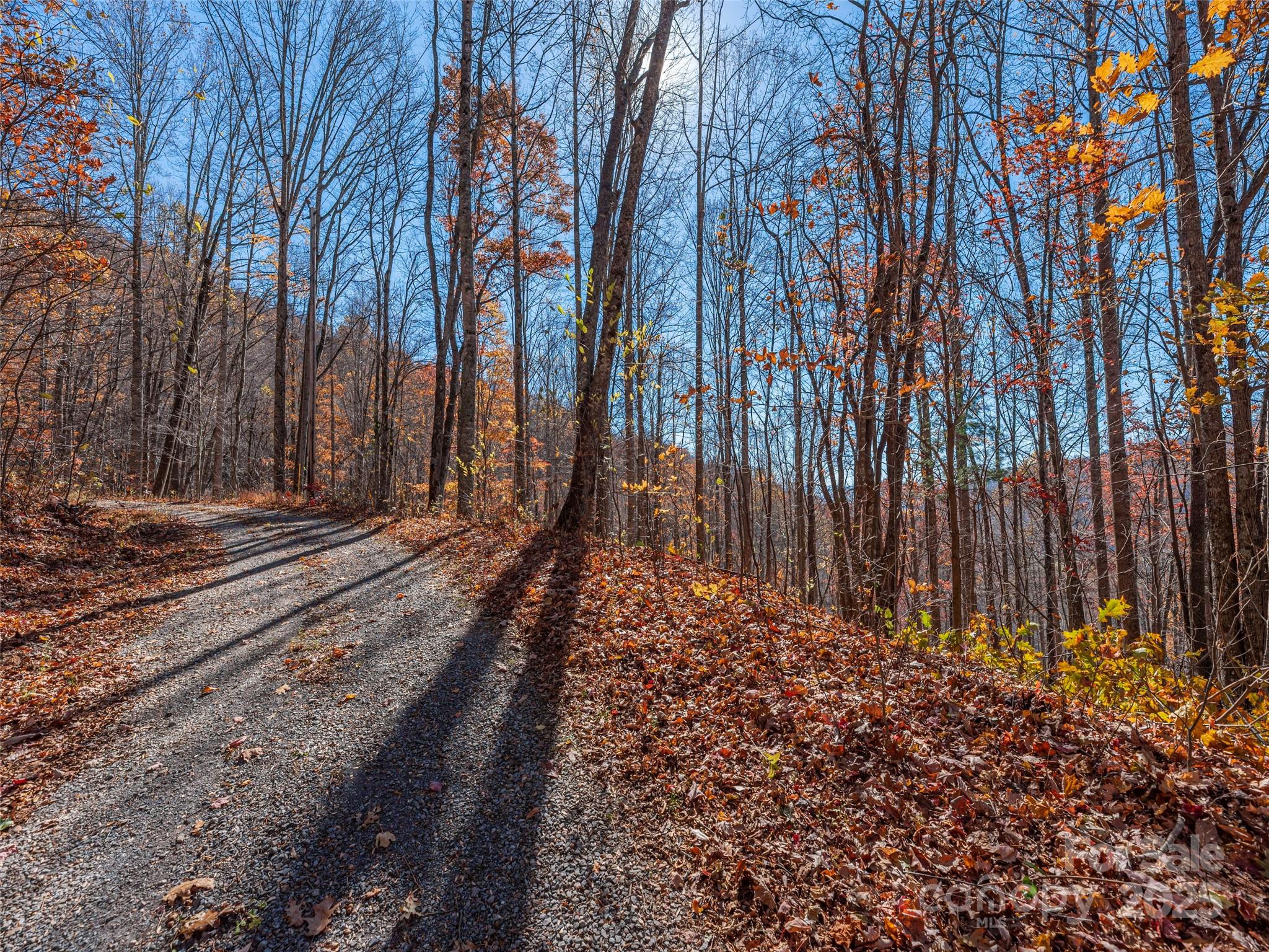 Lot at 112 & 113 Grouse Road, Clyde, photo 9 of 29