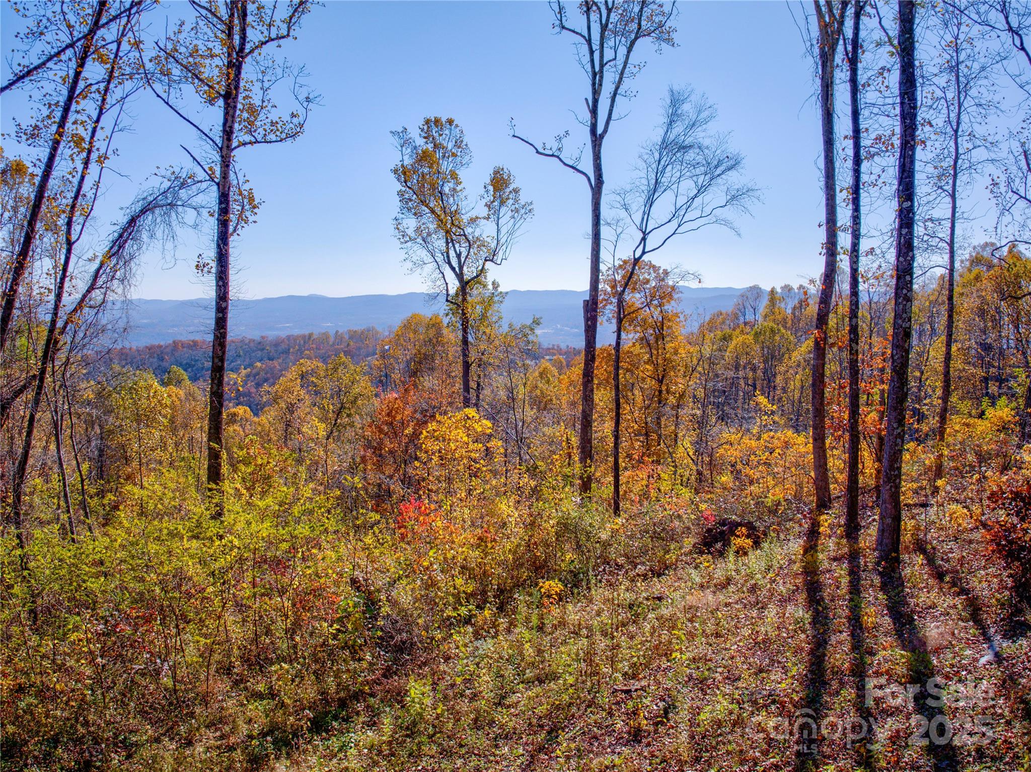Lot at 7 Laurel Ledge Way, Fletcher, photo 2 of 35