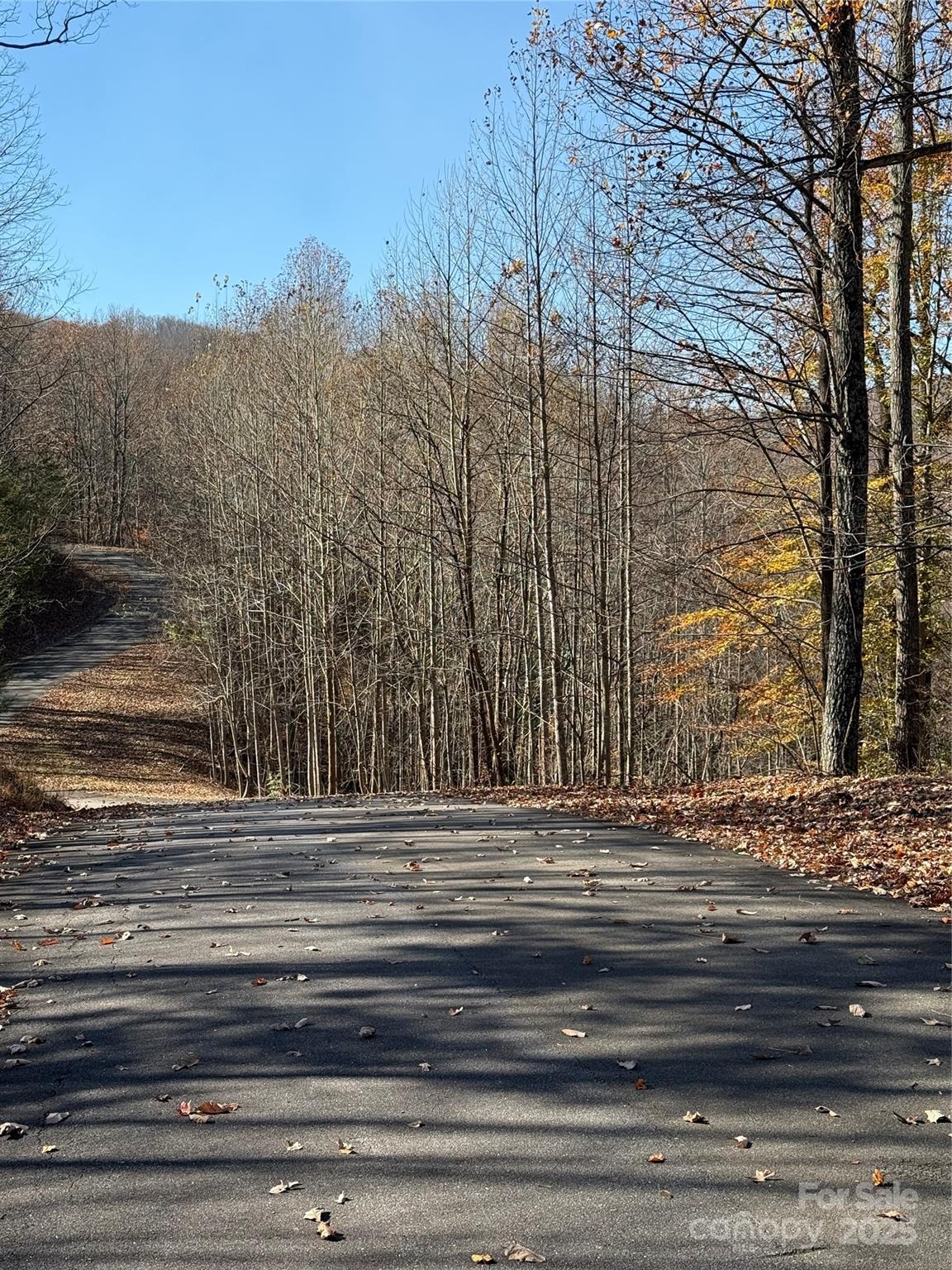 Property line is in the area where the road begins to curve back to the right as it goes up the hill (in the area where the sun is shining); the majority of this pic is road frontage and is to the left of the Pepperwood Dr. intersection - V/L Lot 72 & 170 Black Lark Drive, Marion