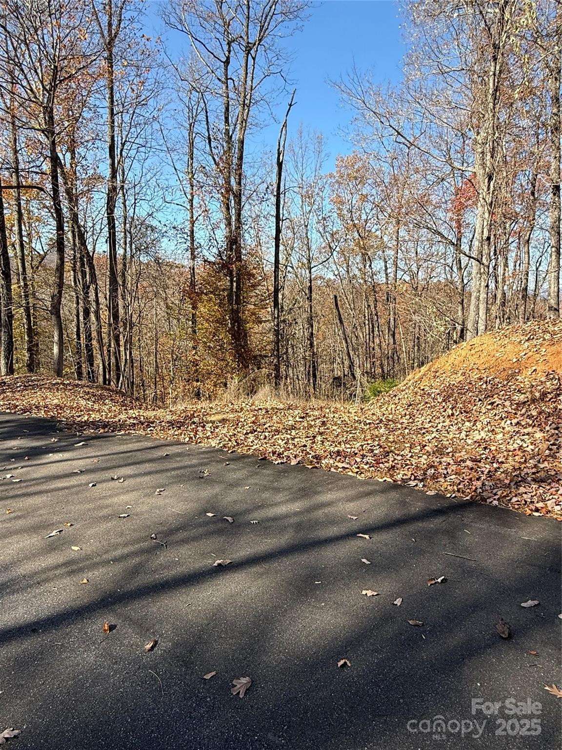 Road frontage to the left of Pepperwood Dr. - V/L Lot 72 & 170 Black Lark Drive, Marion