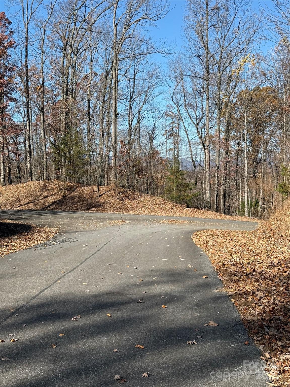 Property straight-on from Pepperwood Dr. - V/L Lot 72 & 170 Black Lark Drive, Marion