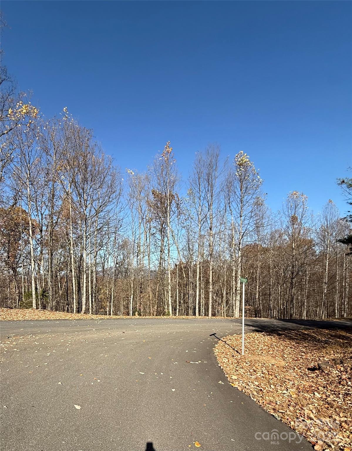 Road frontage to the right of Pepperwood Dr - V/L Lot 72 & 170 Black Lark Drive, Marion