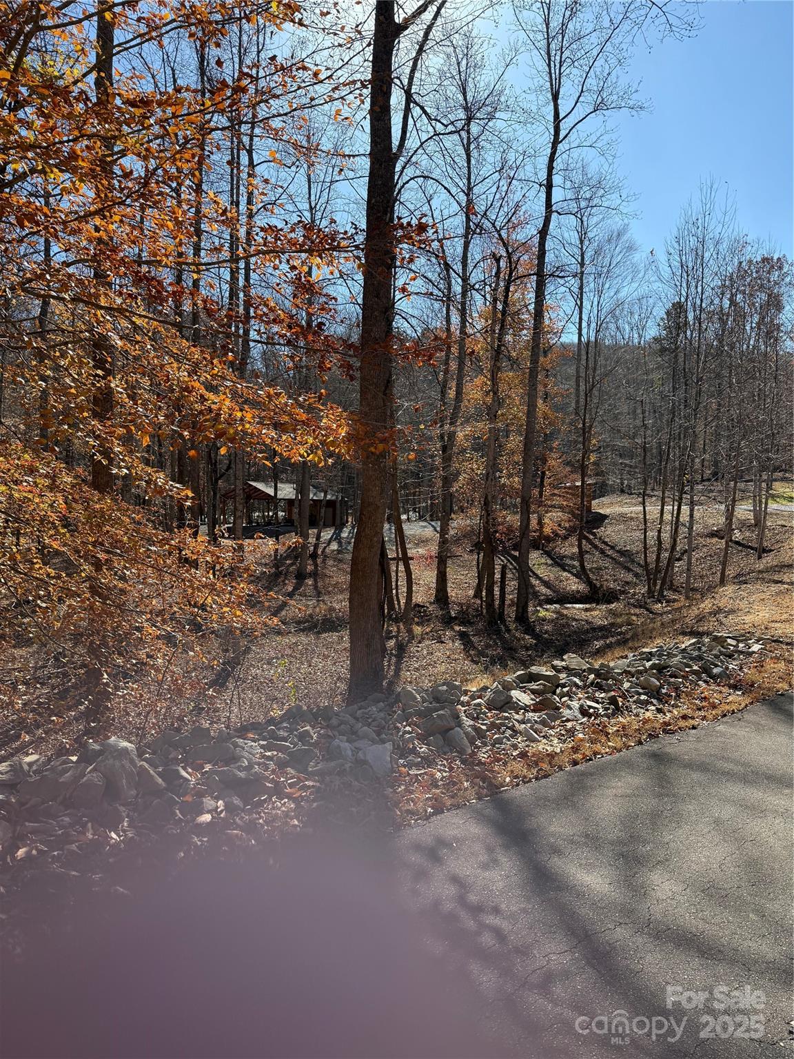 Pavilion pic #1 - V/L Lot 72 & 170 Black Lark Drive, Marion