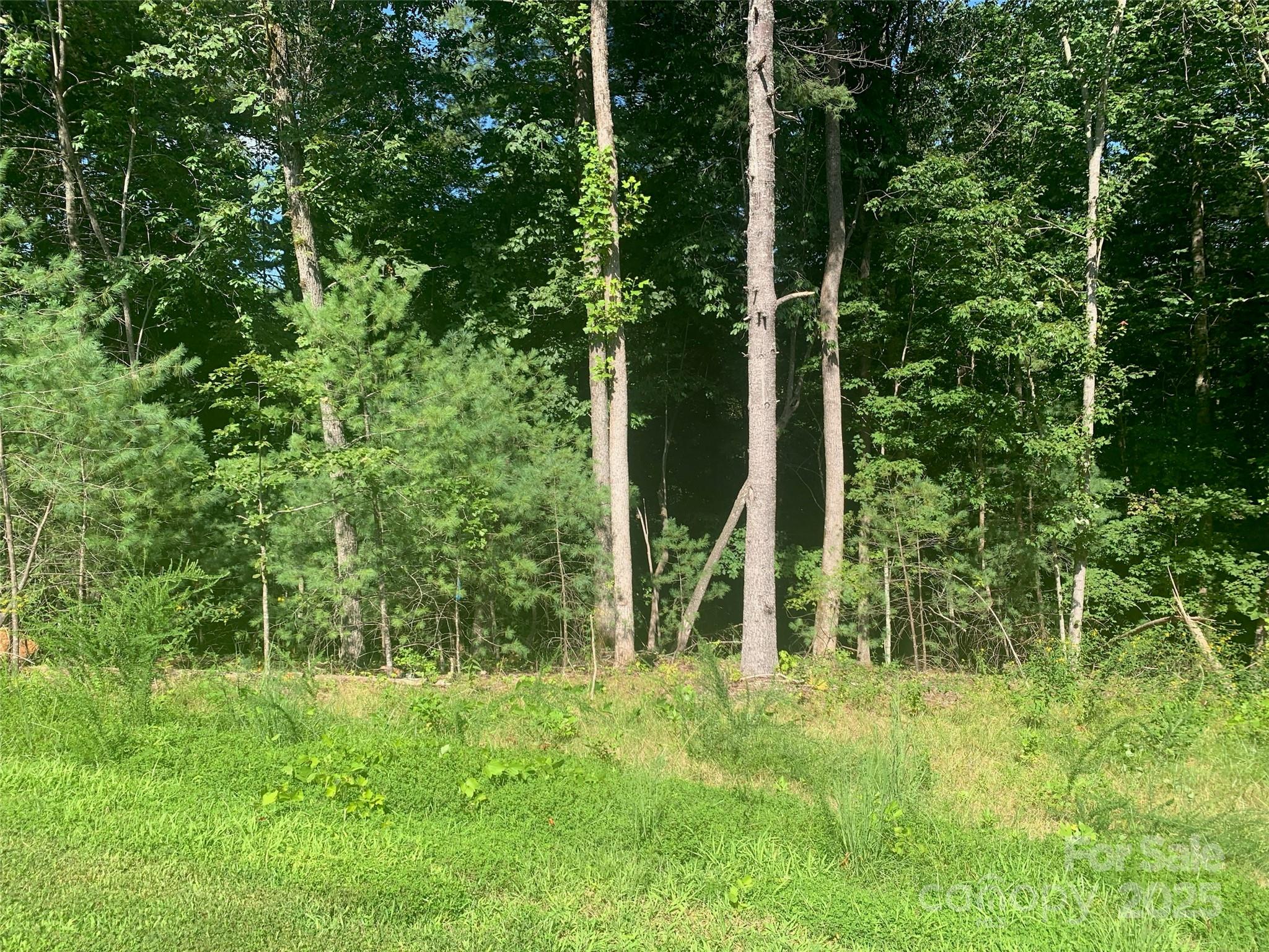 Lot at 2.32 acres Lot 72, 1711 Round Mountain Parkway, Lenoir, photo 3 of 41