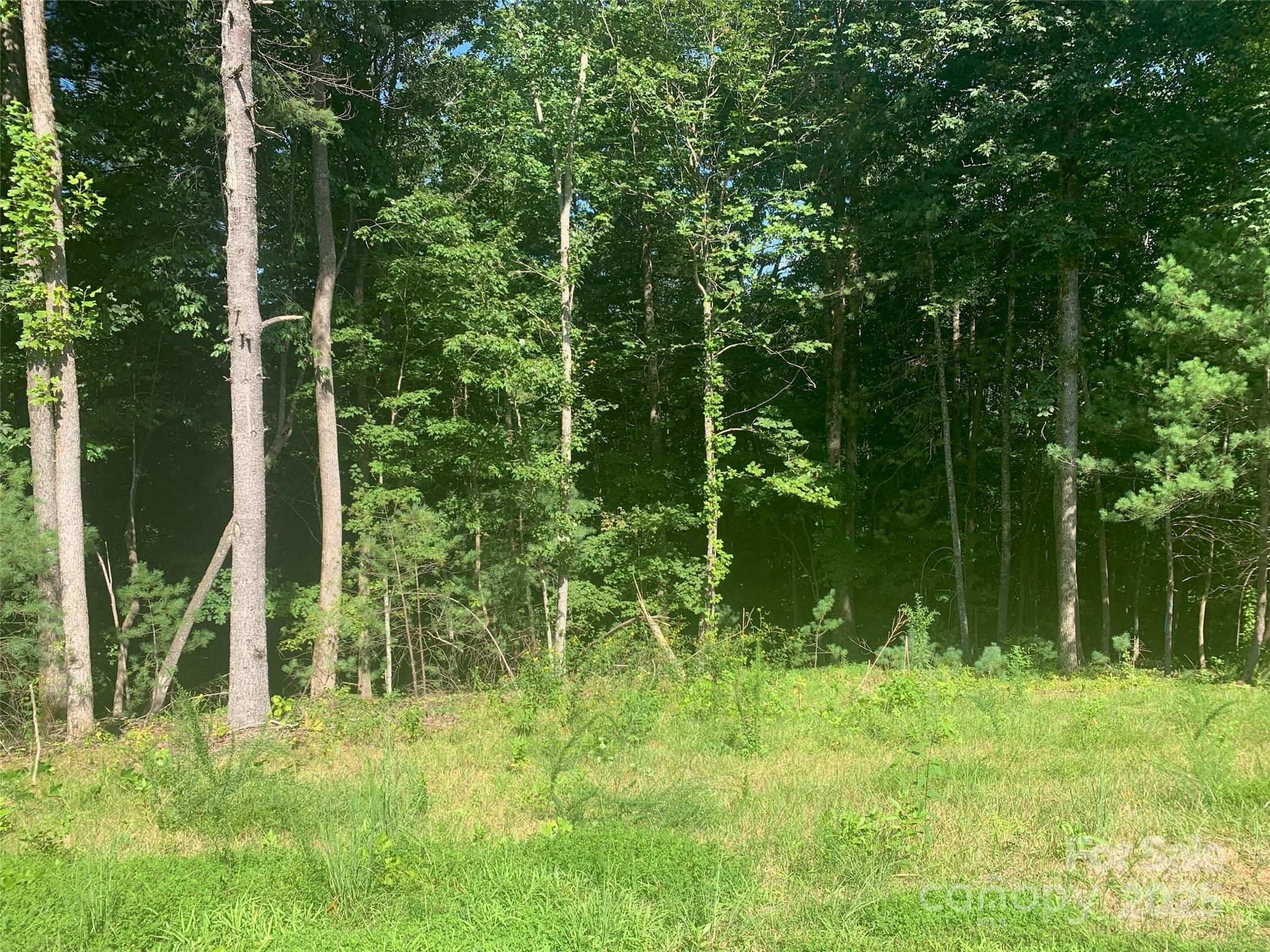 Lot at 2.32 acres Lot 72, 1711 Round Mountain Parkway, Lenoir, photo 4 of 41