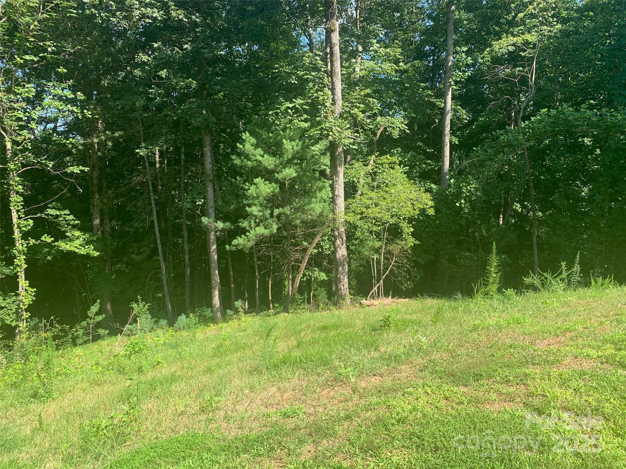 Lot at 2.32 acres Lot 72, 1711 Round Mountain Parkway, Lenoir, photo 5 of 41