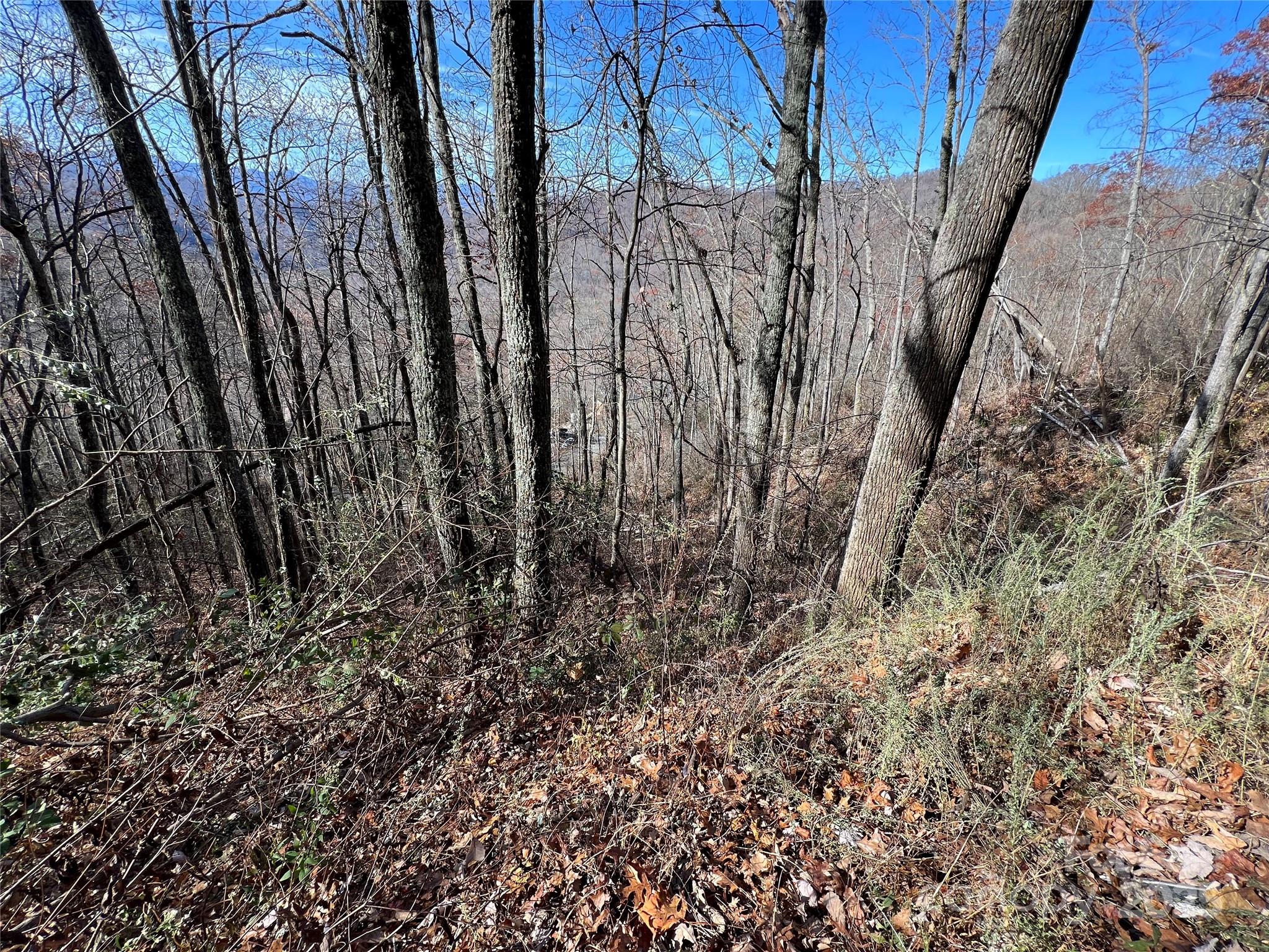 Lot at Lot 8 Falls View Drive, Bryson City, photo 2 of 14