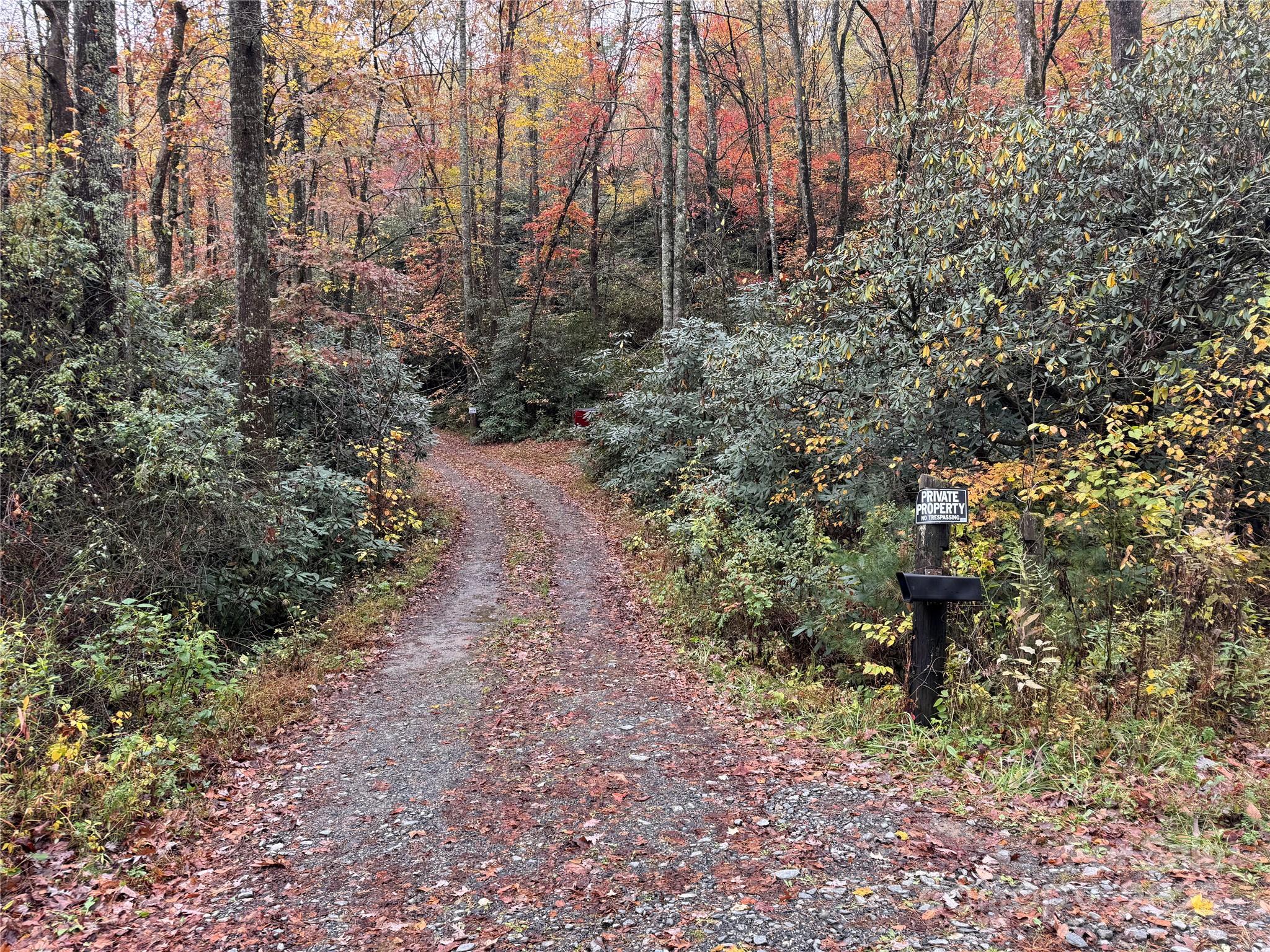 Entrance from King Road - 00 King Road, Pisgah Forest