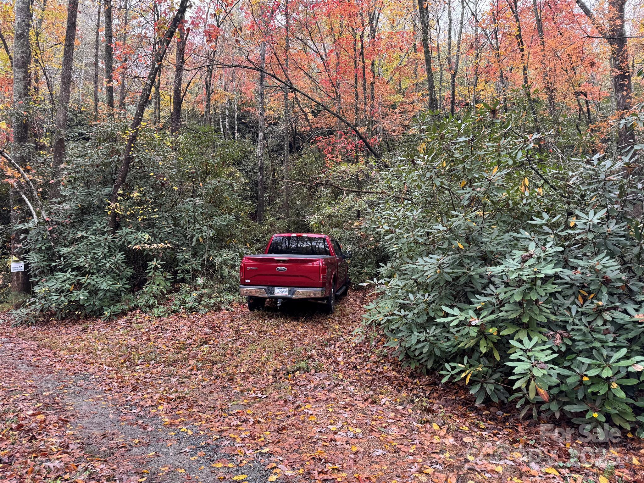 Park on right on old road bed - 00 King Road, Pisgah Forest