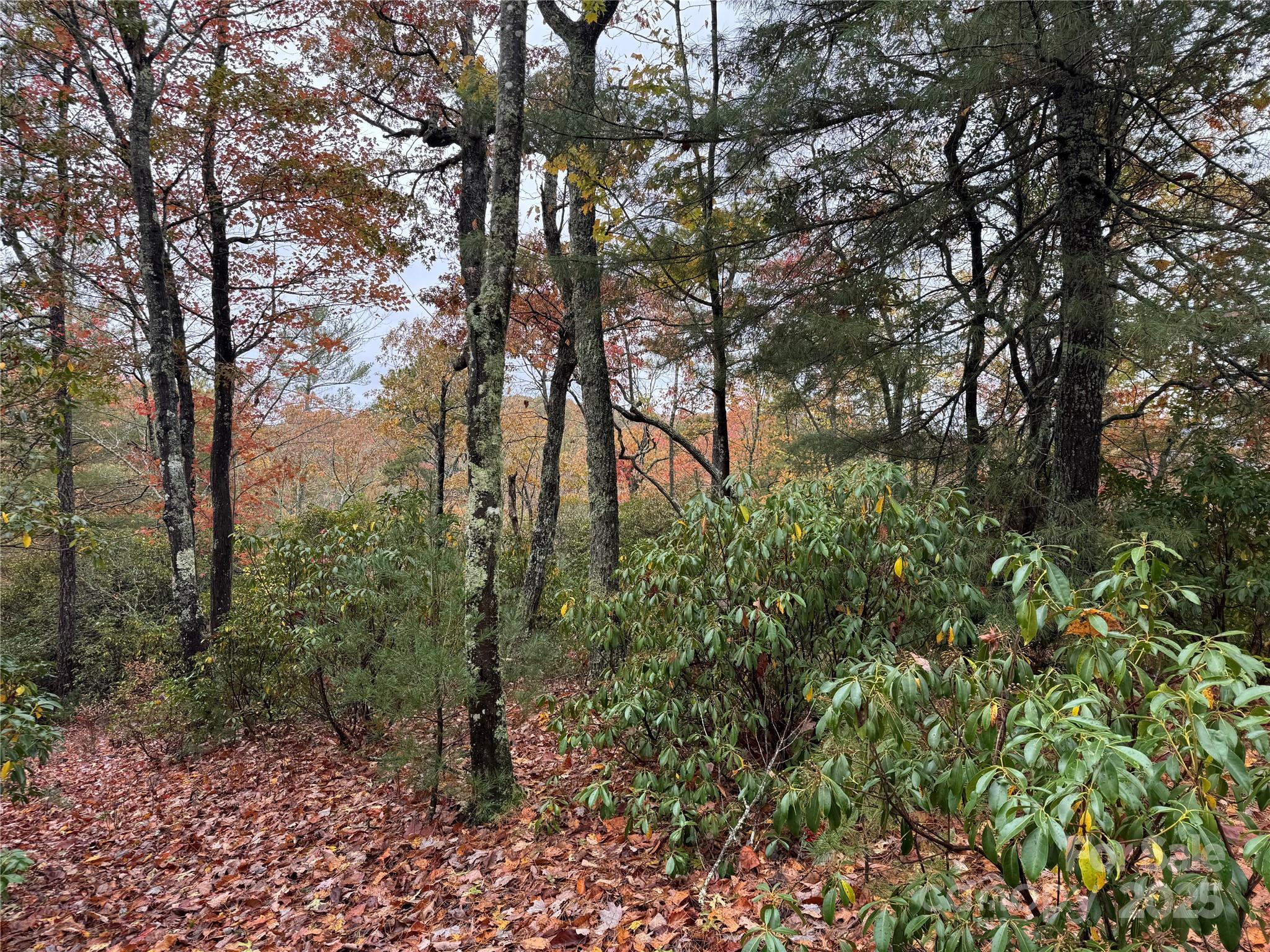 Second view from the top - 00 King Road, Pisgah Forest