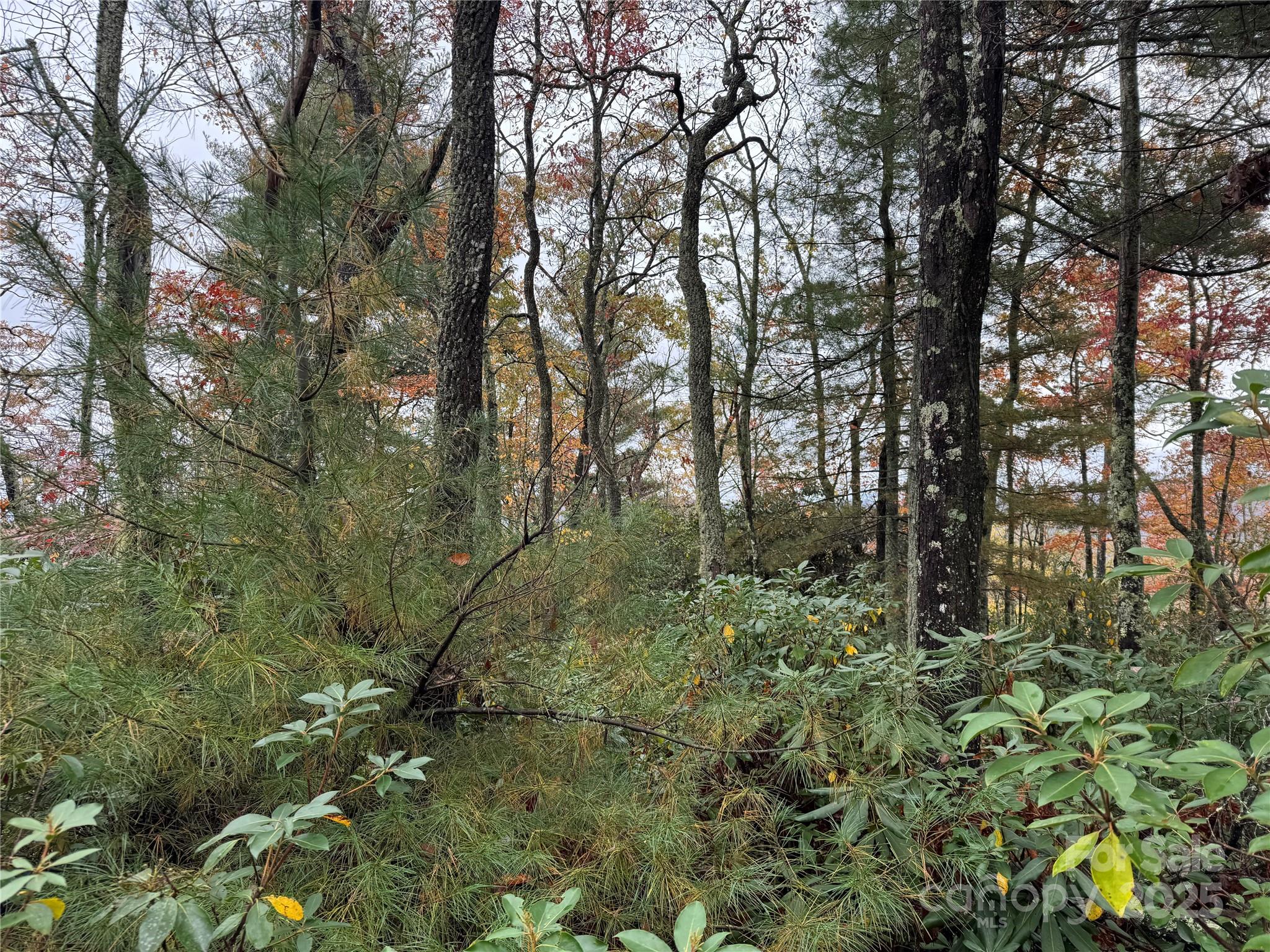 Top View - 00 King Road, Pisgah Forest