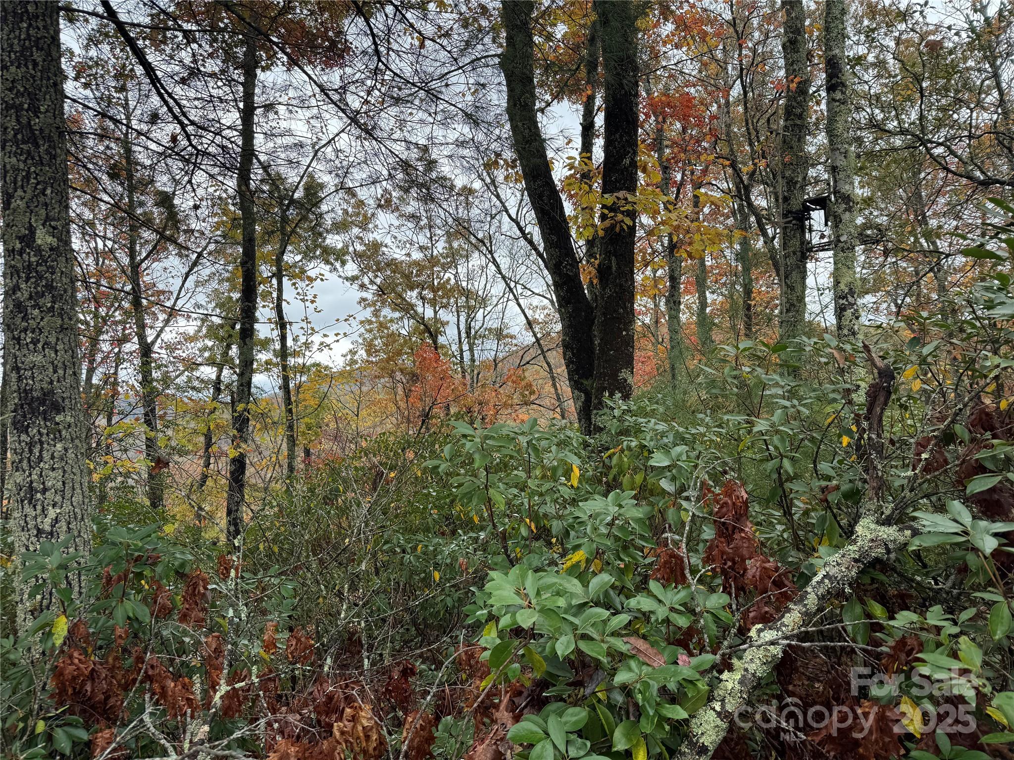 Top view - 00 King Road, Pisgah Forest