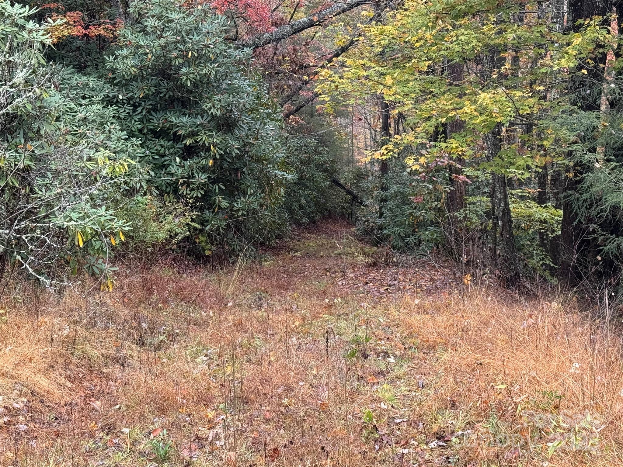 View back down - 00 King Road, Pisgah Forest
