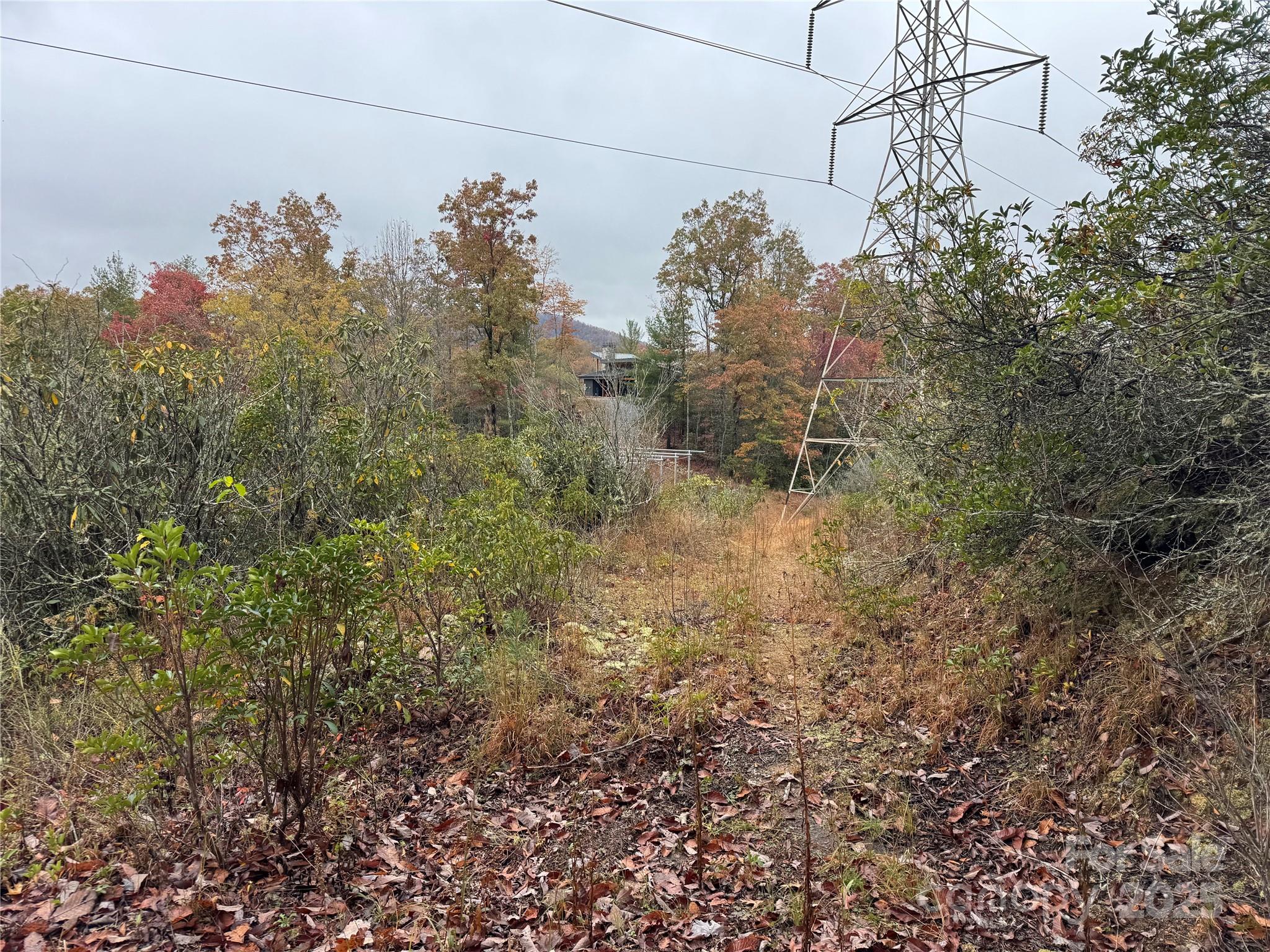 Road bed coming down from the top towards power lines - 00 King Road, Pisgah Forest