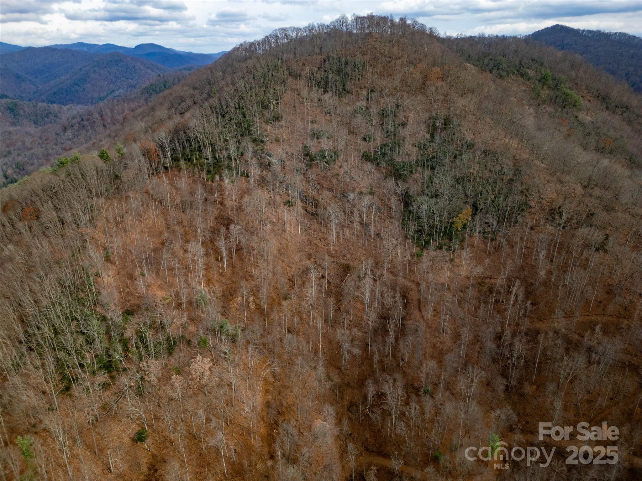Acreage at ### Grapevine Road, Marshall, photo 2 of 27