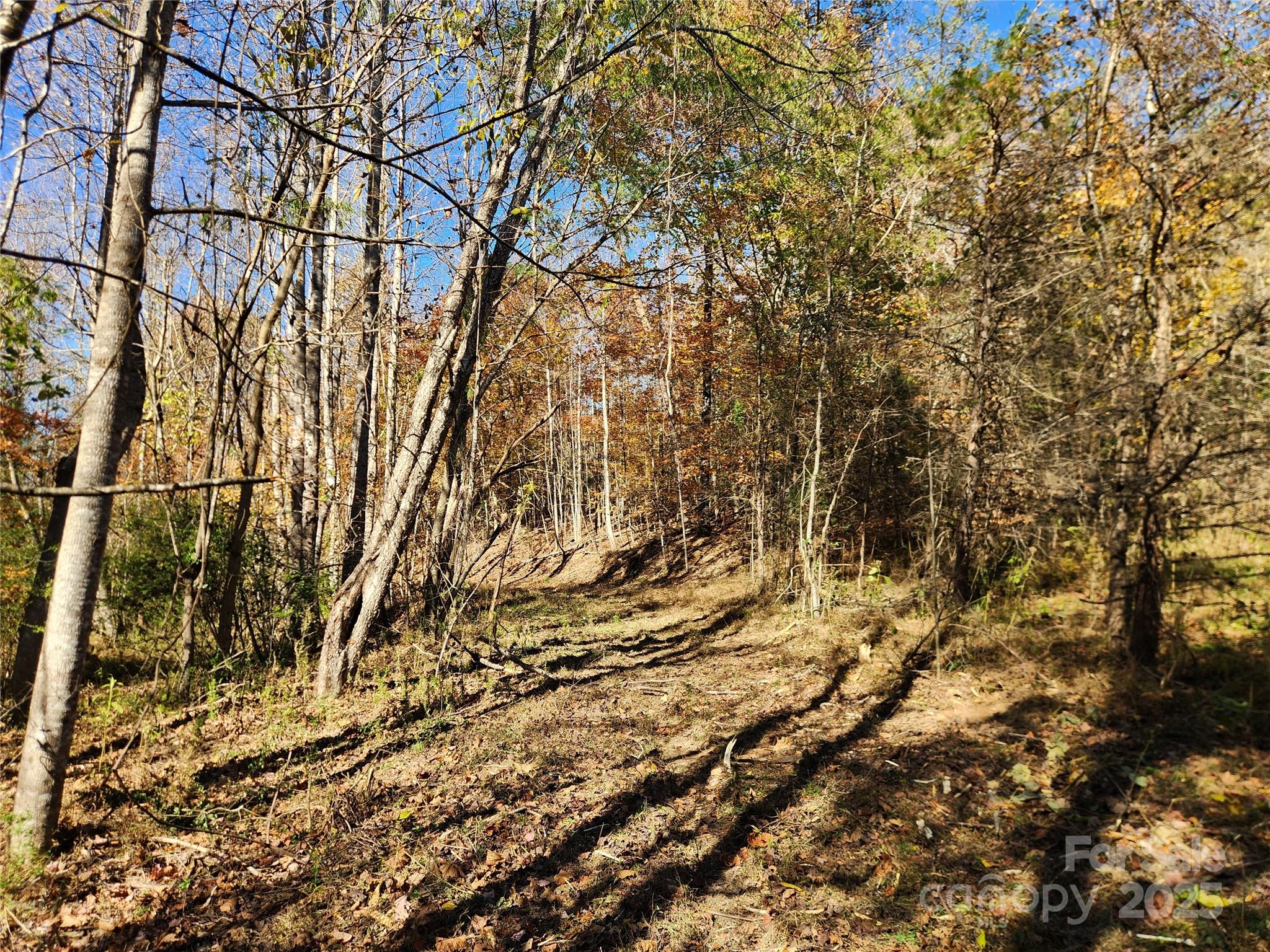 Acreage at 701 Moravian Falls Road, Wilkesboro, photo 13 of 30