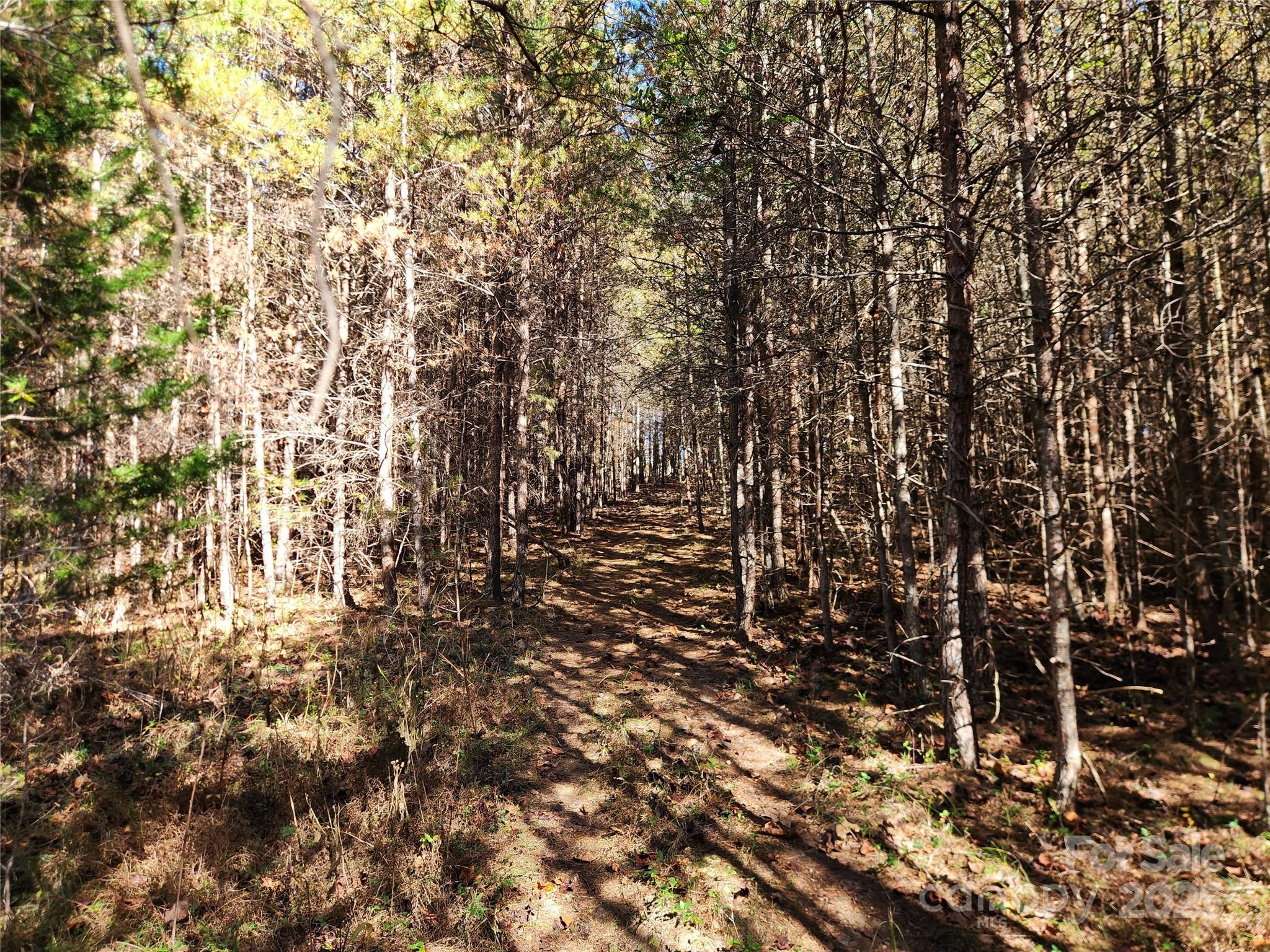 Acreage at 701 Moravian Falls Road, Wilkesboro, photo 20 of 30