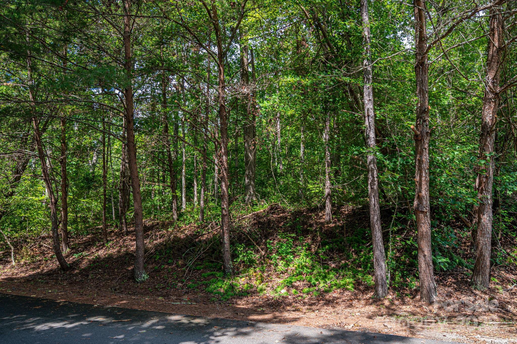 Lot at Lot 26 Line Drive, Forest City, photo 2 of 14