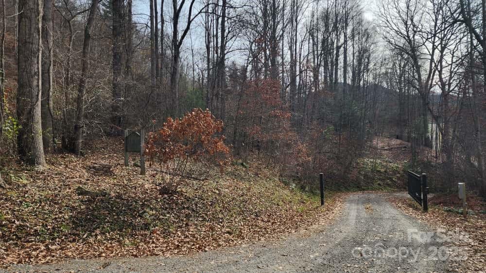 Lot at 00 SATINWOOD Drive, Waynesville, photo 6 of 33