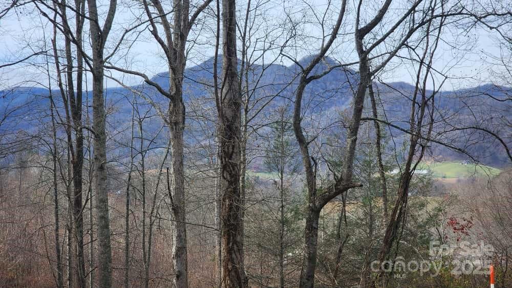 Mountain views - 00 SATINWOOD Drive, Waynesville