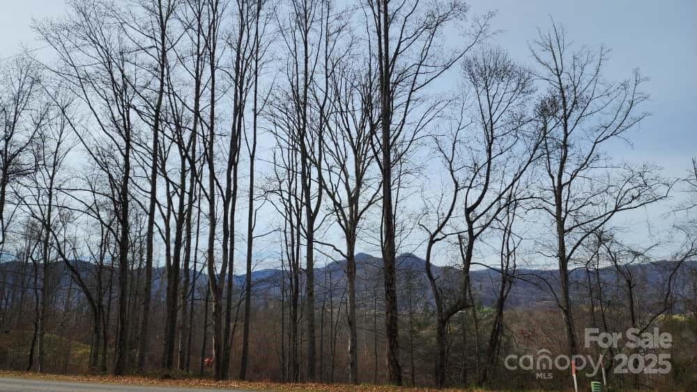 Mountain views - 00 SATINWOOD Drive, Waynesville