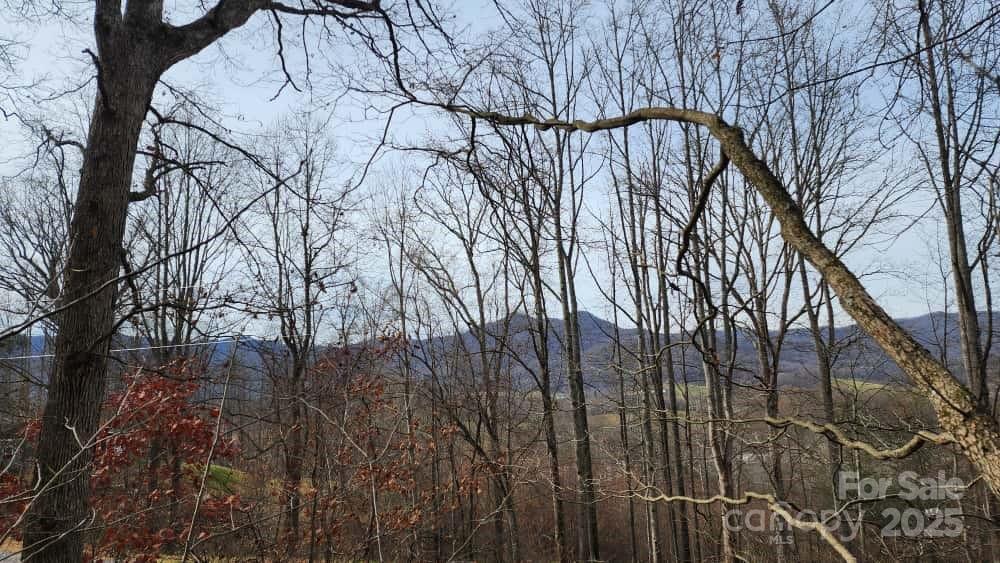 Mountain views - 00 SATINWOOD Drive, Waynesville
