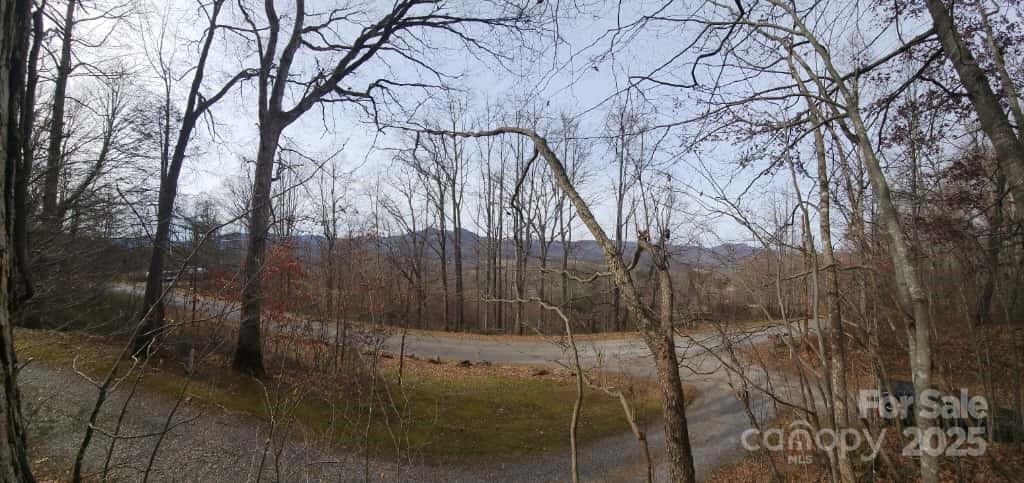 Lot at 00 SATINWOOD Drive, Waynesville, photo 10 of 33