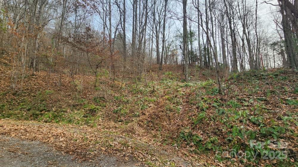 Lot at 00 SATINWOOD Drive, Waynesville, photo 11 of 33