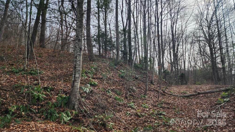 Lot at 00 SATINWOOD Drive, Waynesville, photo 12 of 33