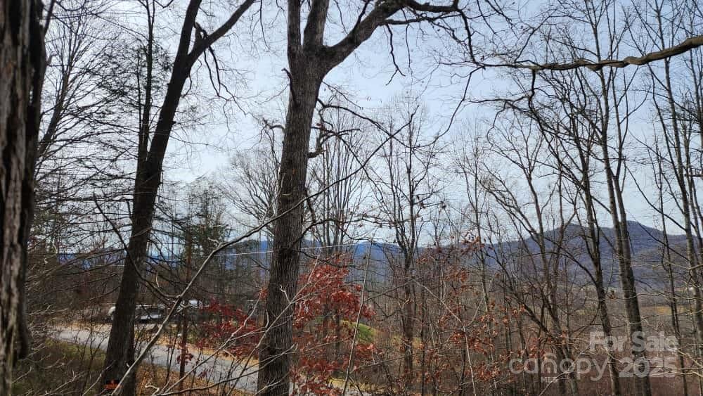 Lot at 00 SATINWOOD Drive, Waynesville, photo 13 of 33