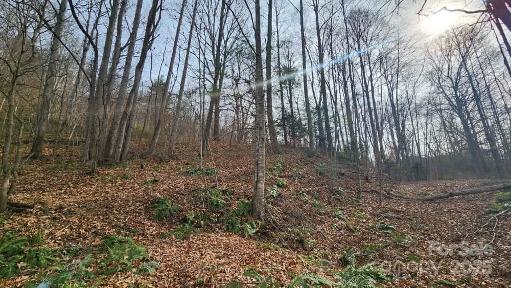 Lot at 00 SATINWOOD Drive, Waynesville, photo 14 of 33