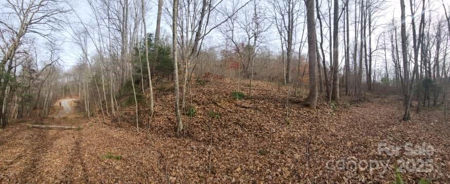 Lot at 00 SATINWOOD Drive, Waynesville, photo 15 of 33