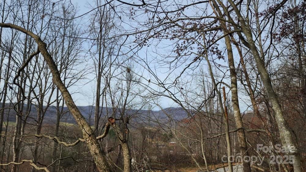 Lot at 00 SATINWOOD Drive, Waynesville, photo 16 of 33