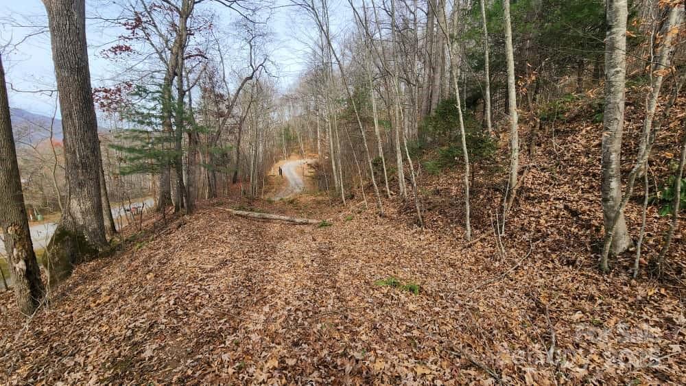 Lot at 00 SATINWOOD Drive, Waynesville, photo 17 of 33