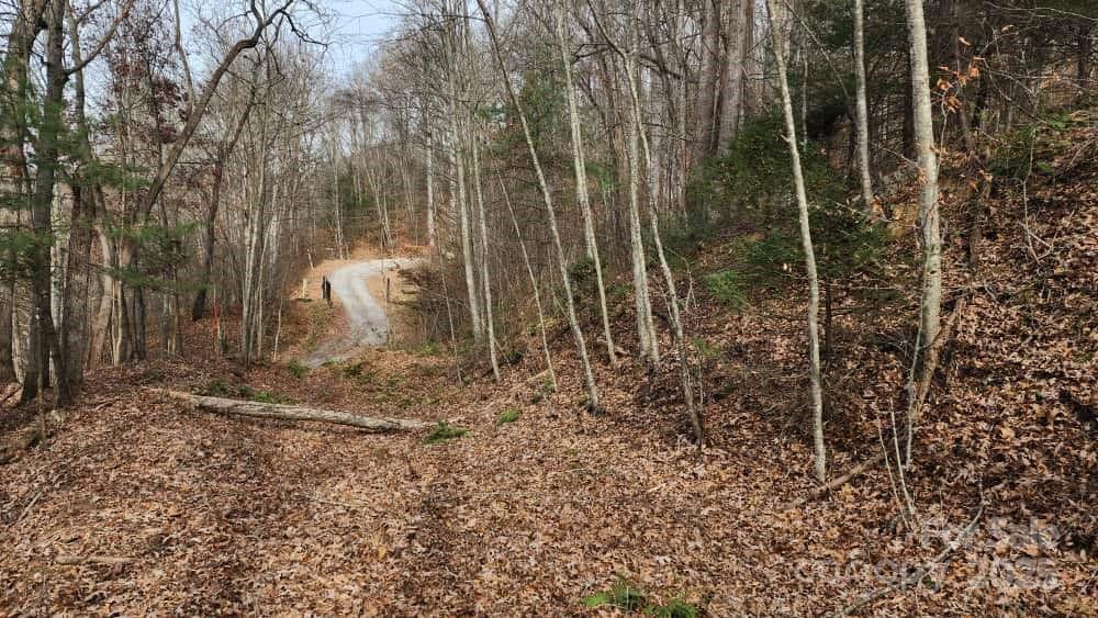 Lot at 00 SATINWOOD Drive, Waynesville, photo 18 of 33