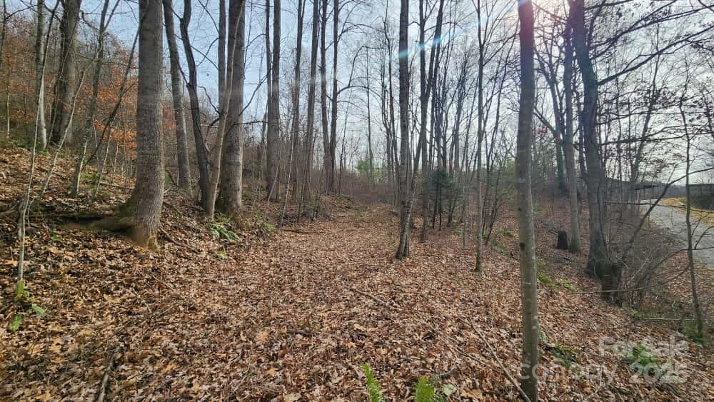 Lot at 00 SATINWOOD Drive, Waynesville, photo 19 of 33